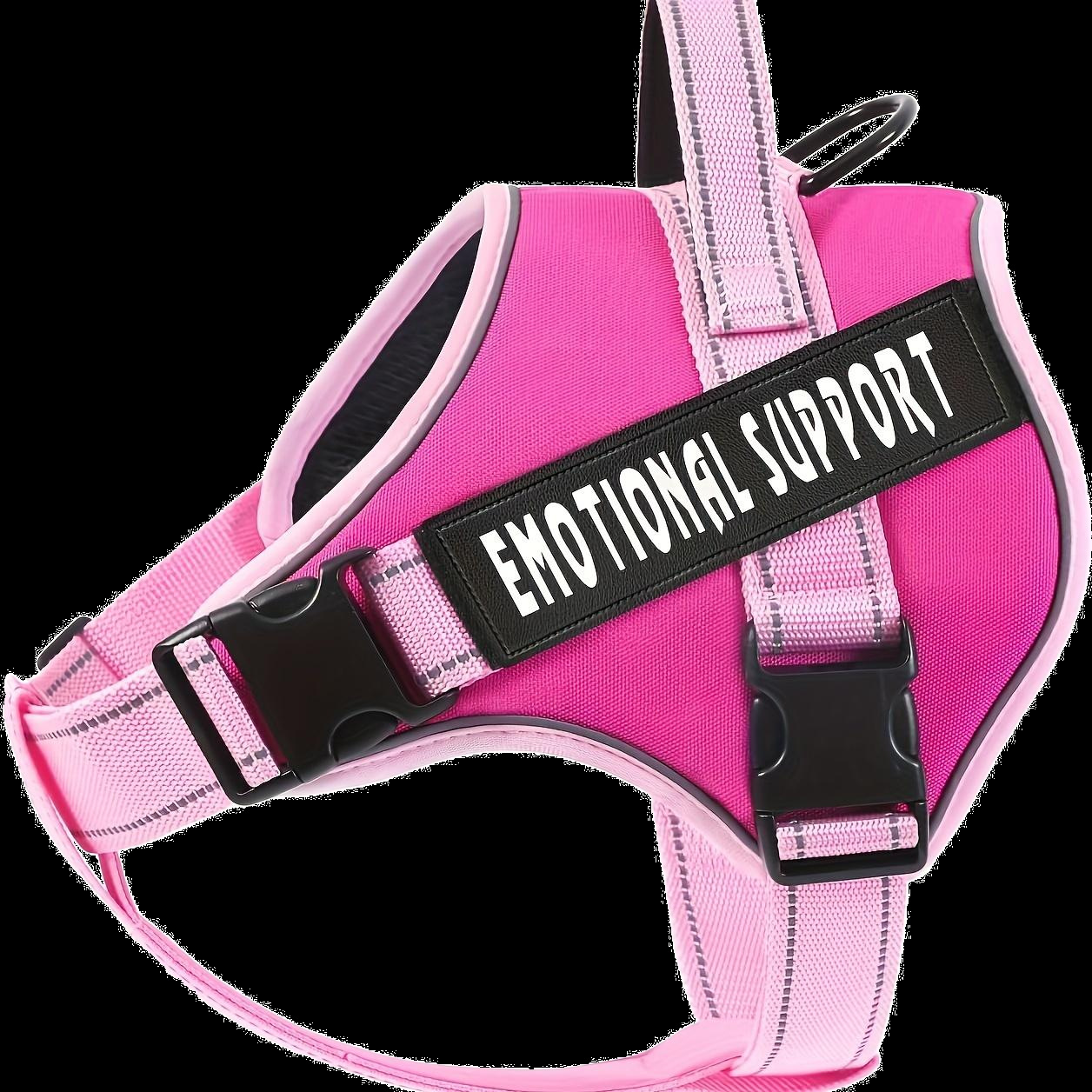 뉴 99-로즈 레드