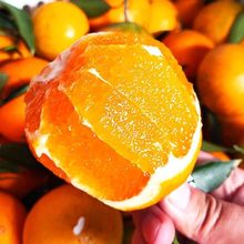 新鲜脐橙橙子新鲜当季水果整箱批发手剥冰糖甜橙非江西赣南脐橙【