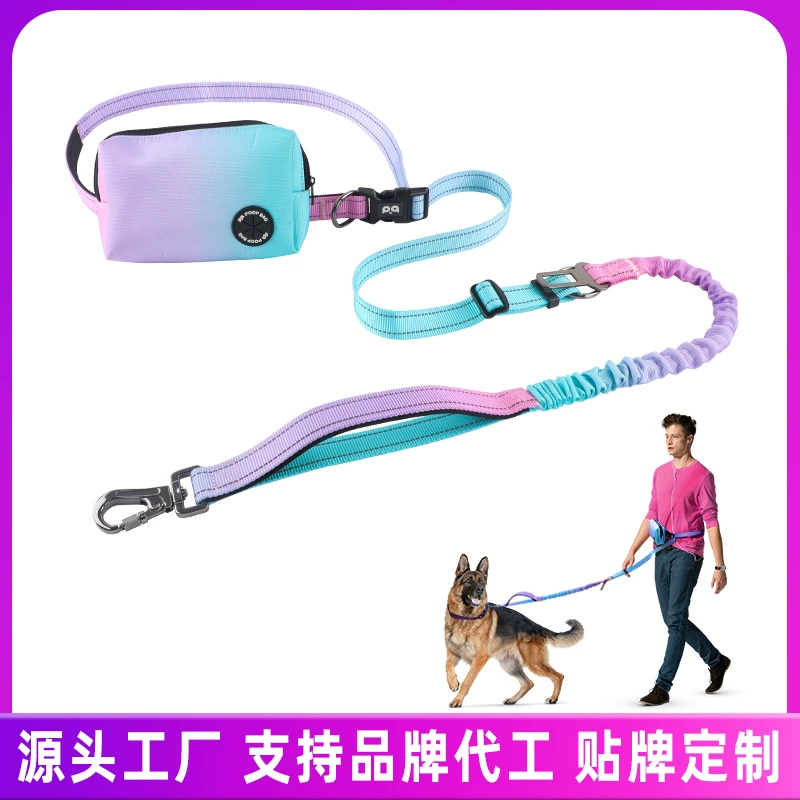 Трансграничная автономная станция Amazon для домашних животных