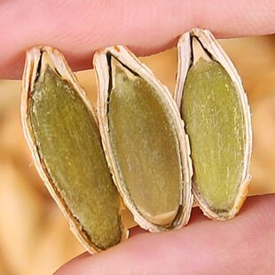 ���˼��Ϲ���2025��؛�L��ԭζ���}��ָ�����Ϲ������e��ʳ��؛