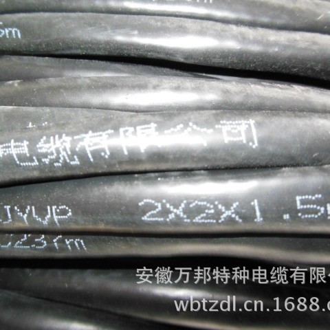 计算机电缆DJVVP 1*2*1.0