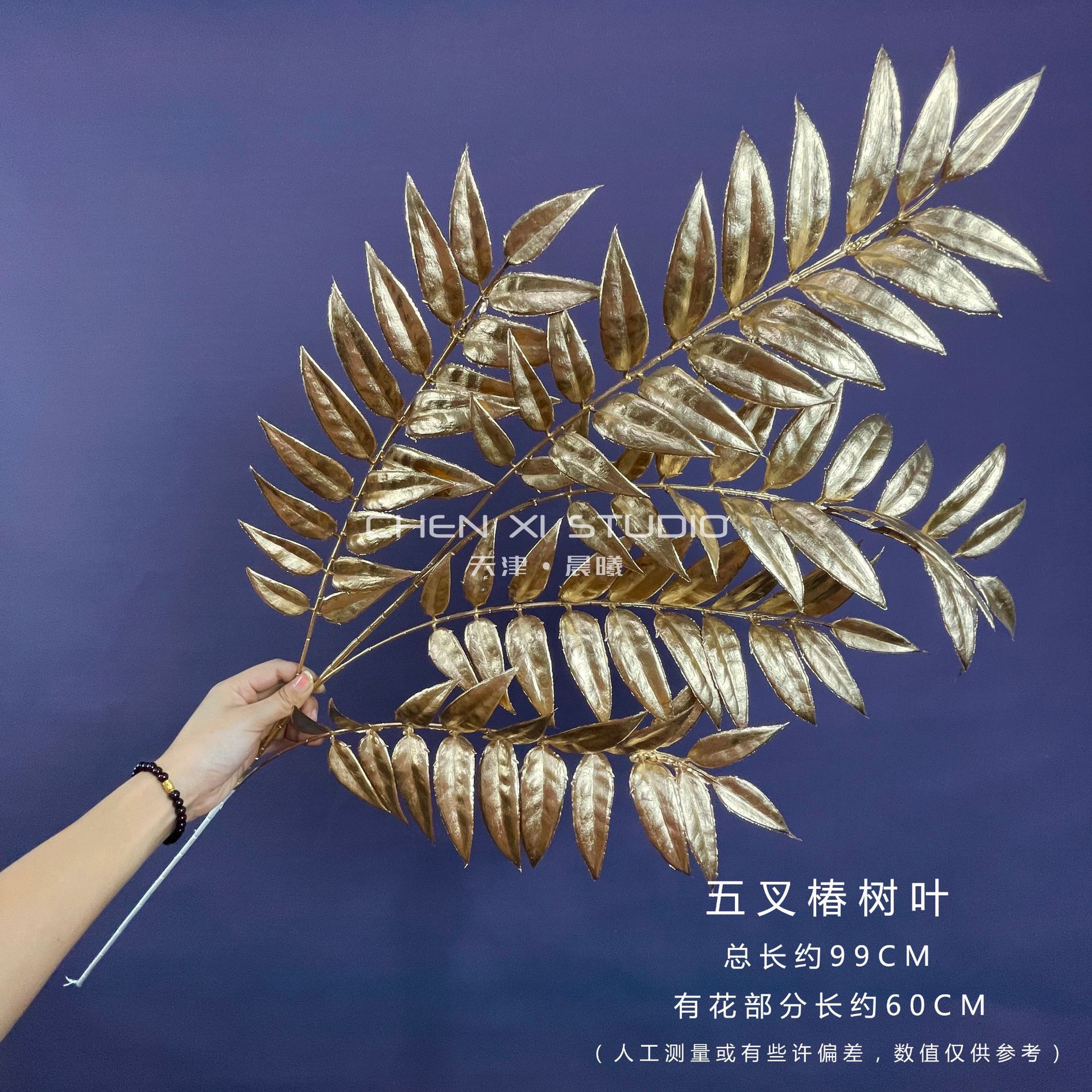 5 포크 Toona sinensis 잎