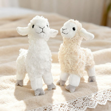 仿真小绵羊公仔玩偶生肖羊藏羊毛绒玩具抓机布娃娃情人节公司礼品