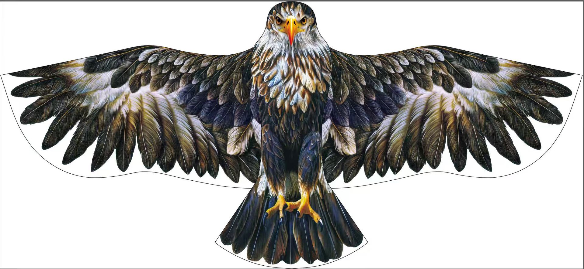 微信图片_20260129173731_71_8