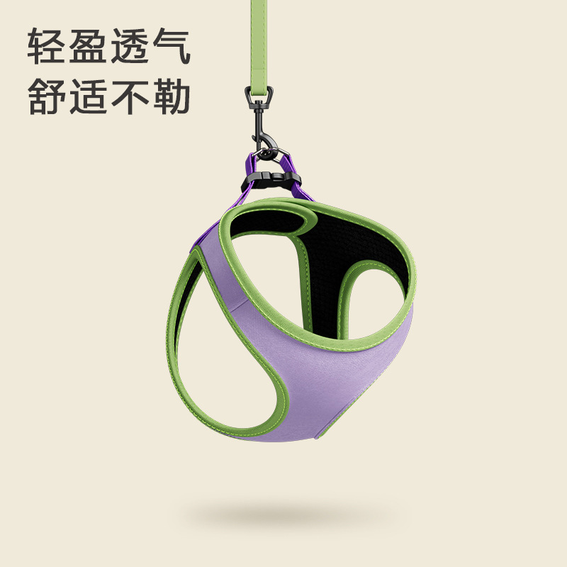 Correa de perro pequeño perro pecho Correa perro Correa chaleco perro de peluche perro correa de perro oso