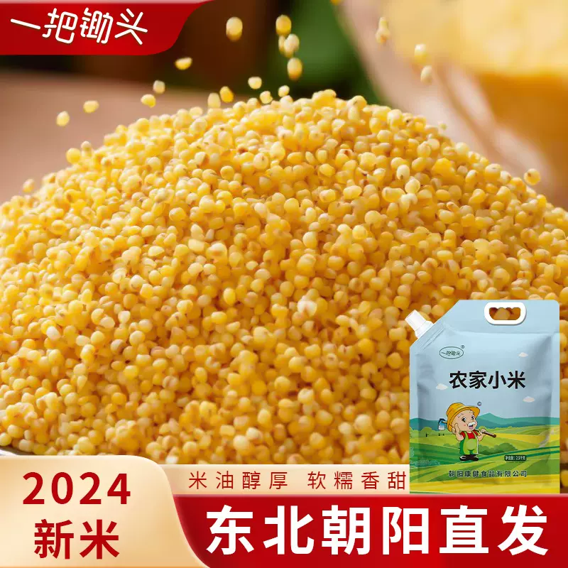 朝阳新鲜黄小米5斤金苗东北小黄米小米粥料杂粮米批发一件代发