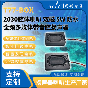 T77��ˮȫ�l2030ǻ�w����8&Omega;2W�����T�i/�Ҿ�/��ý�w�P��