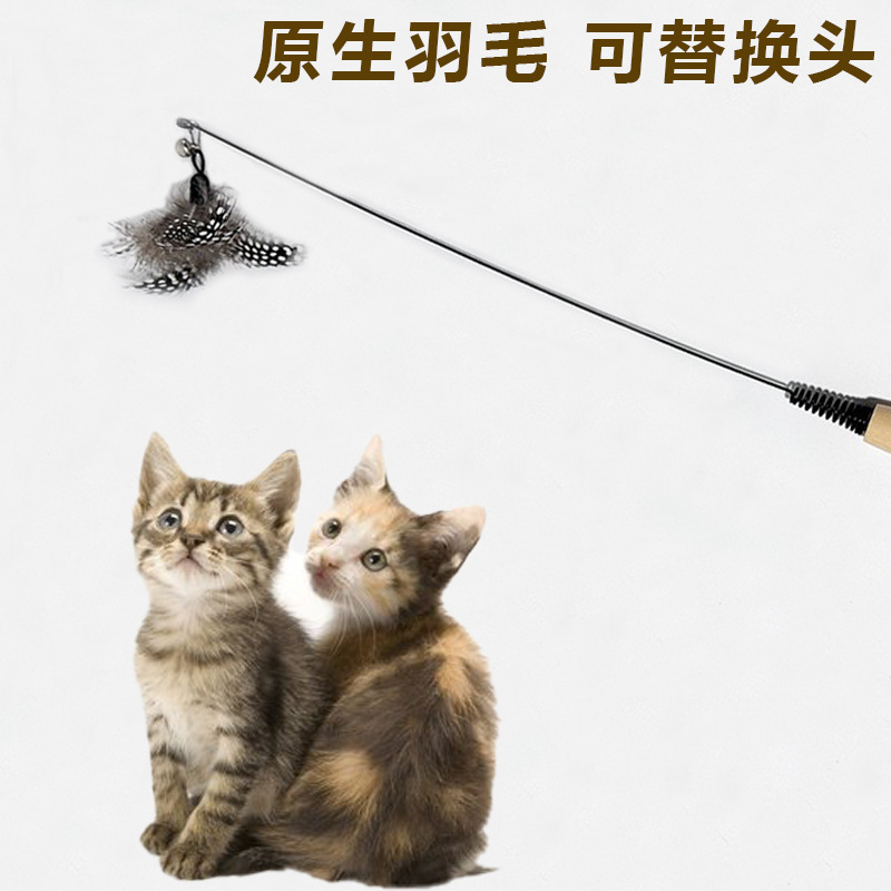CFAレース級の木の柄が猫の棒の羽の鈴をからかいます。|undefined