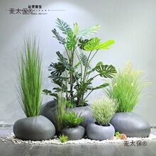 ����Gֲ�쾰�b[���҃Ⱦ��^ֲ���̈������¼��JȔ��������̫��