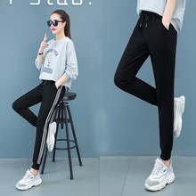 高含棉春秋薄款休闲运动长裤女收腰遮肉显瘦束脚小脚裤跑步广场舞