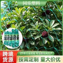 定制全新料果园防鸟网果树樱桃枸杞鱼塘专用防鸟网透明透气防护网