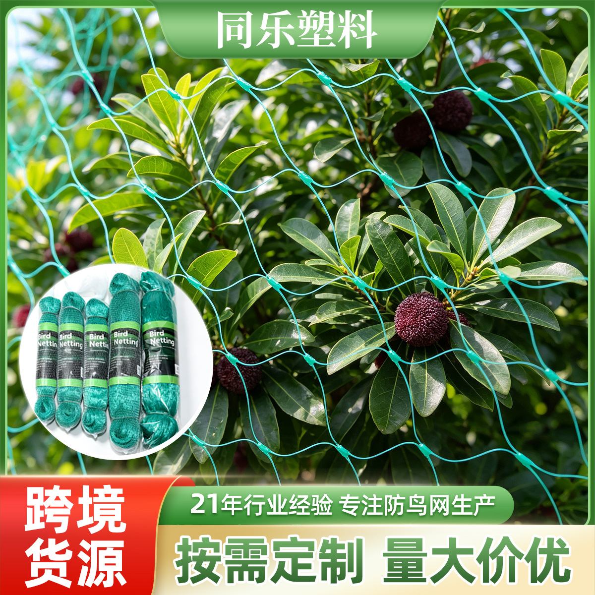 定制全新料果园防鸟网果树樱桃枸杞鱼塘专用防鸟网透明透气防护网