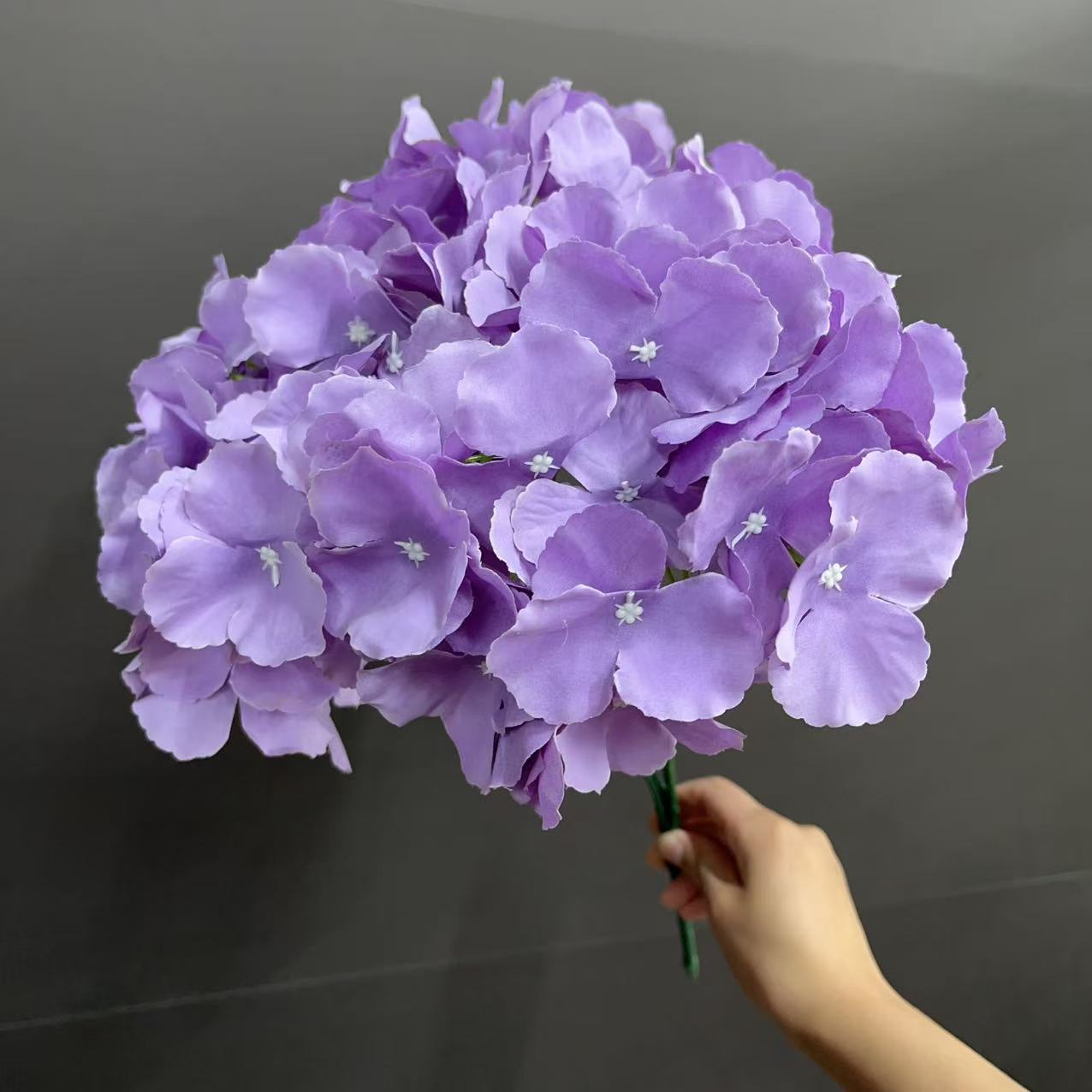 微信图片_20250214160616