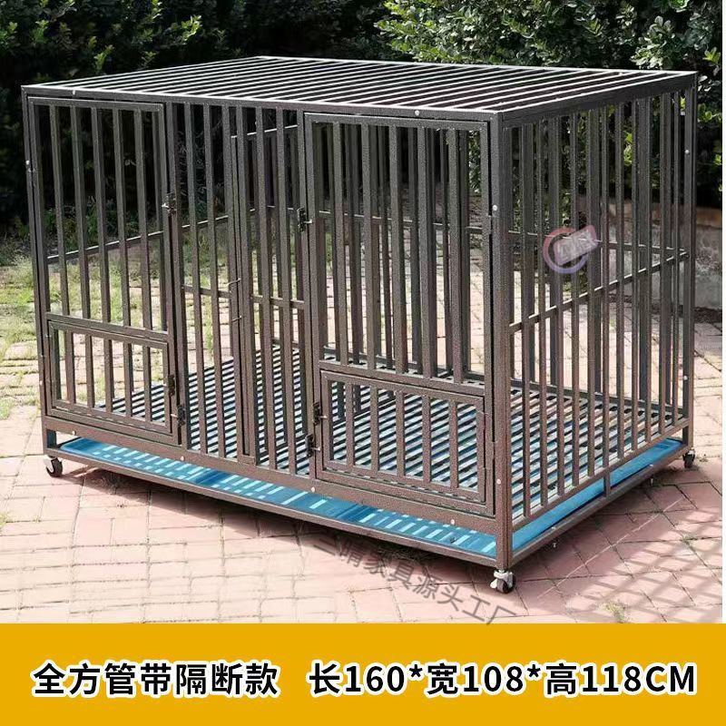 3d0658f9-ee2e-412e-bcb3-ff868abf293f.jpe
