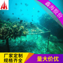 海洋牧场海水养殖海参养殖网箱海洋工程海底养鱼养殖场厂家定做