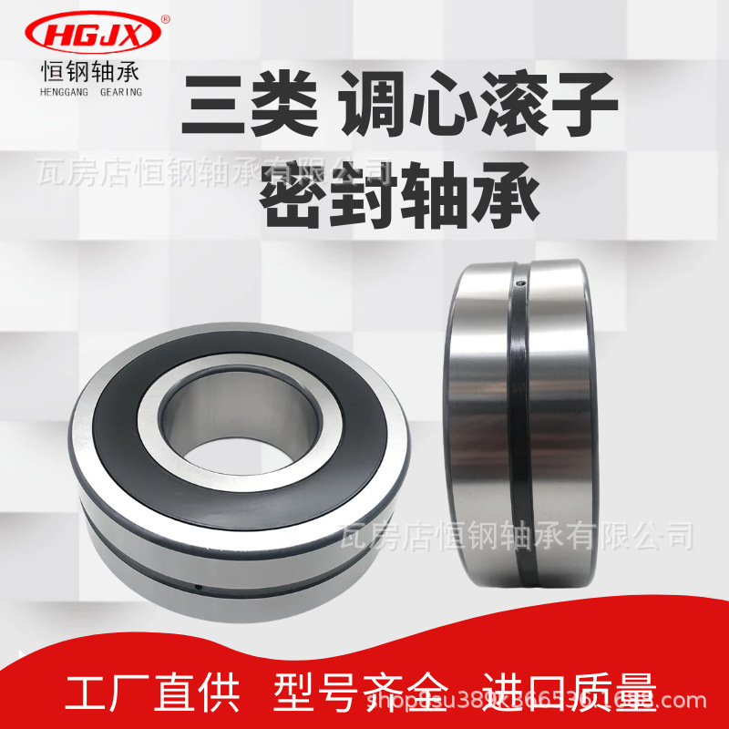 三类带密封BS2-2209-2CS-2RS 45*85*28mm 22209CA 调心滚子轴承