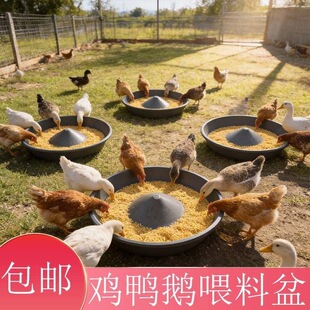 ι�u����ʳ�ۈA���B�u�������i�����ϲ�С�iʳ�����Z��ϲۆ���