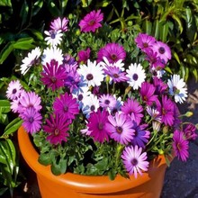 ޾շNӡ޾ļNֲͺ^ͥԺĬJ^N