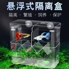 孔雀鱼繁殖神器小鱼鱼缸繁殖孵化隔离盒鱼下崽分离器凤尾鱼产子箱