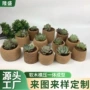圆形多肉定制尺寸花盆