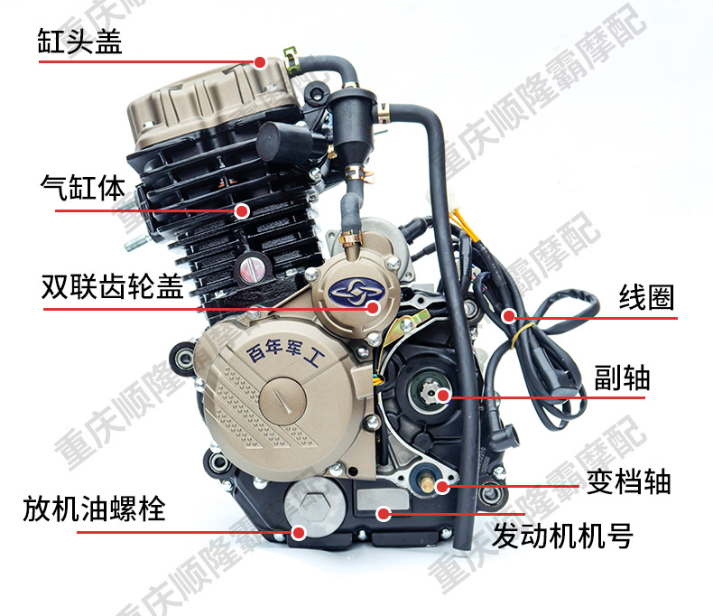 Jialing Brand Three-Wheel Motorcycle Engine 175 200 250 300 350 Water-Cooled Engine Original Genuine Product