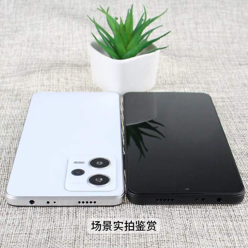 霸刚 Mobile phone, kompatibles Modell, Glass screen, 20plus