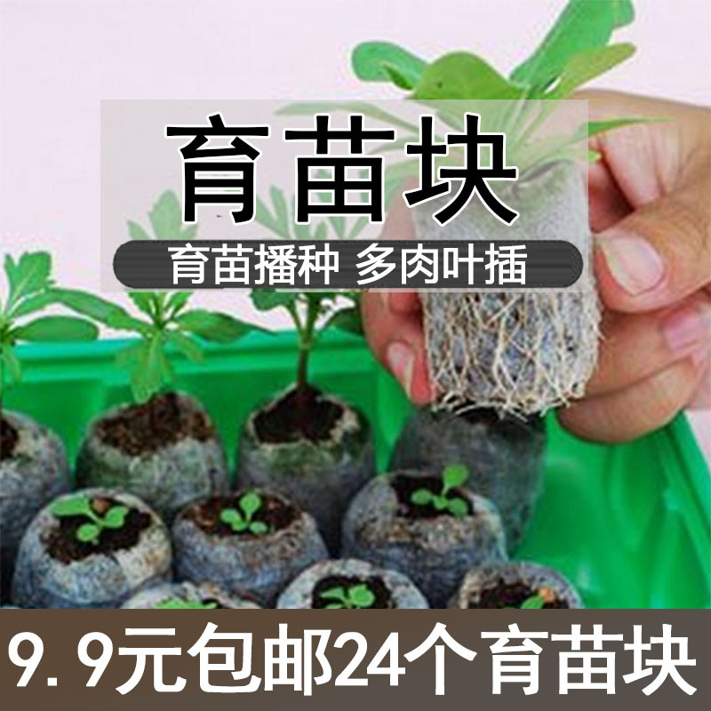 国产育苗块压缩泥炭块魔法土壤介质育苗盒加育苗块浇水就可以育苗|ms