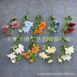 3�^�|�������� �����ջ�Y���滨��c�Y�ò廨·���b� �S�����l