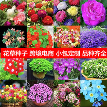 lݷN۹șɻСrNޱ̫ꖻĵܽM