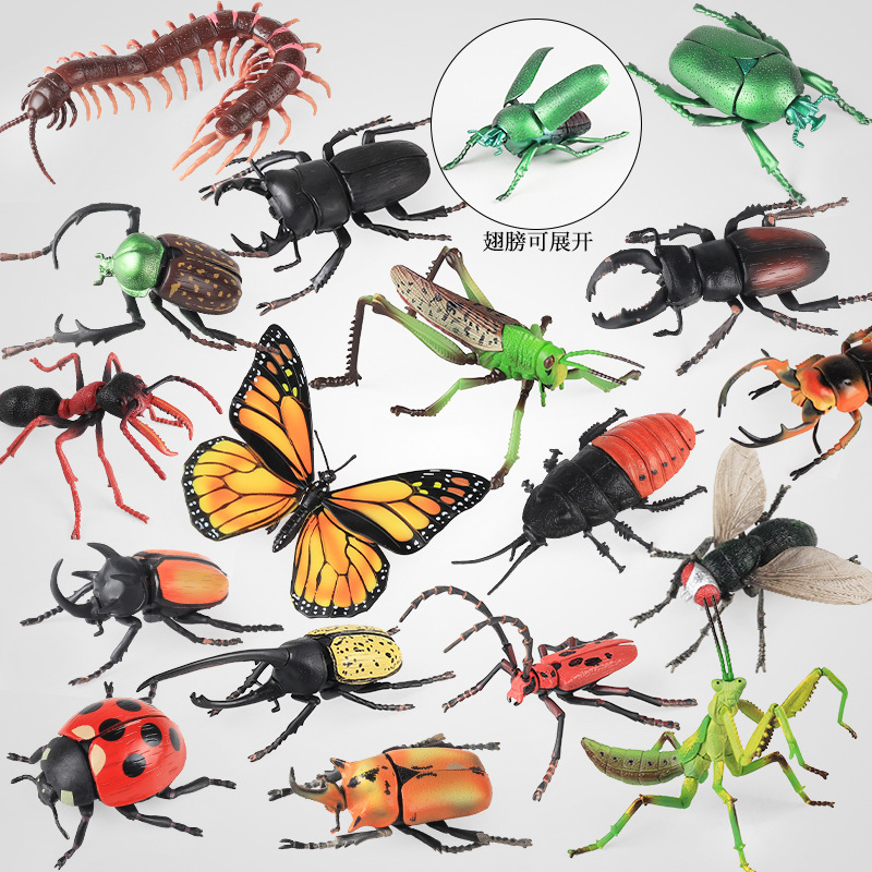 Children's Cognitive Simulation Insect Animal Model 4D Stereo Assembly Toy Ant Butterfly Beetle Scarab Stag Beetle Children's Cognitive Simulation Insect Animal Model 4D Stereo Assembly Toy Ant Butterfly Beetle Scarab Stag Beetle