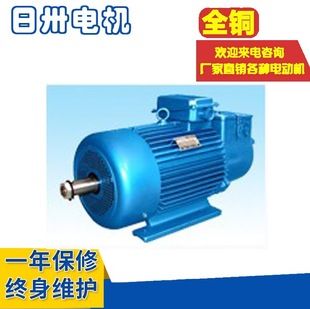 ��������늙C YZ132M1-6  YZB132M1-6 YZP132M1-6