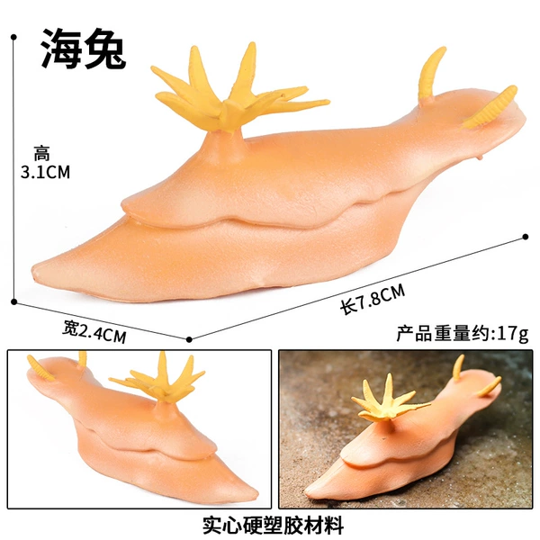 M-2642 Sea Rabbit
