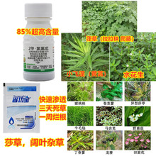 �}�S85%�����ȷ�����ƺС������ˮ������~��ɯ���㸽��ˮ����