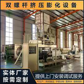 即食方便干米挤压成型设备 复合人造米机器 黄金米膨化机