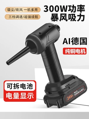 Car Wireless Vacuum Cleaner, Powerful: Tozsoranlar