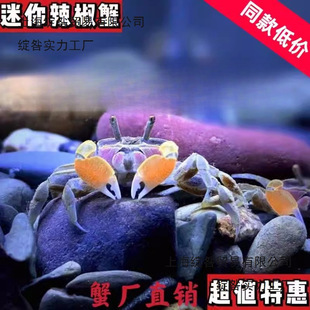 ����з����з�����~���^�pз��ˮ���w�ݸ׿���ˮ�BֳС�з����з