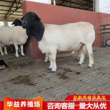 wް׾dͶŲą^e ^Ųһֻ^̥