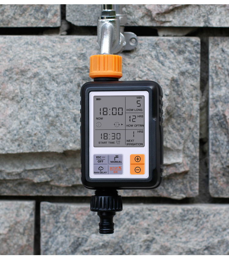 11613233013_1551093158