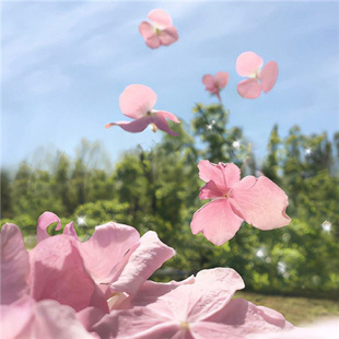 �ɳڸ���@ϵӡ���B��ȹС�w����ˬ�����LȹŮ�� 040706