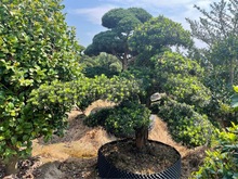 ������Ʒ�����_�h���ߙn����Ϙ�б���hƬӭ���ɴ�СҎ���бM��