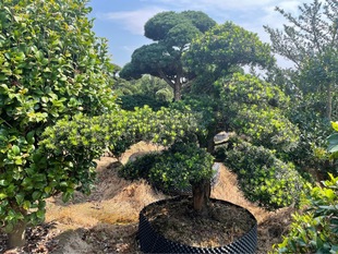 ������Ʒ�����_�h���ߙn����Ϙ�б���hƬӭ���ɴ�СҎ���бM��