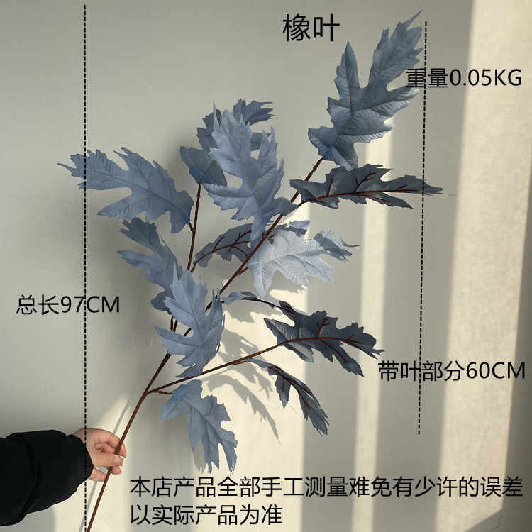 尺寸图