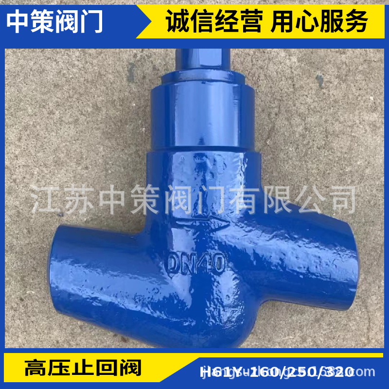 H61Y-320锻钢电站止回阀 高压焊接止回阀 高温高压电站止回阀