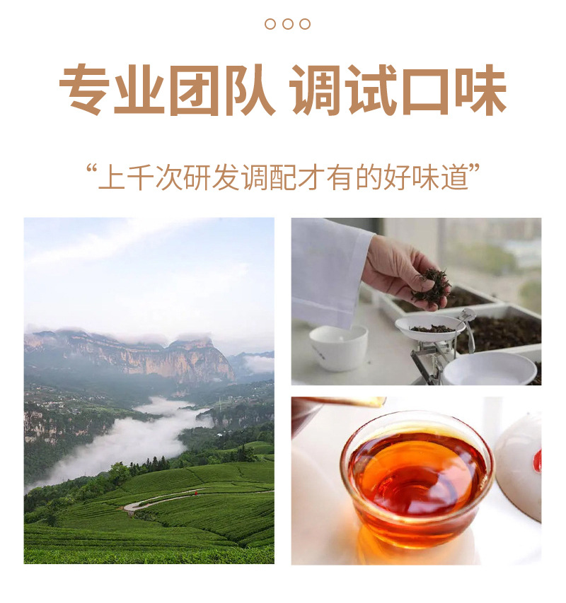 Yuan Qi Si Bao Tea (Four Treasures Vitality Blend) — Astragalus, American Ginseng, Codonopsis & Ophiopogon Pyramid Tea Bags preparation