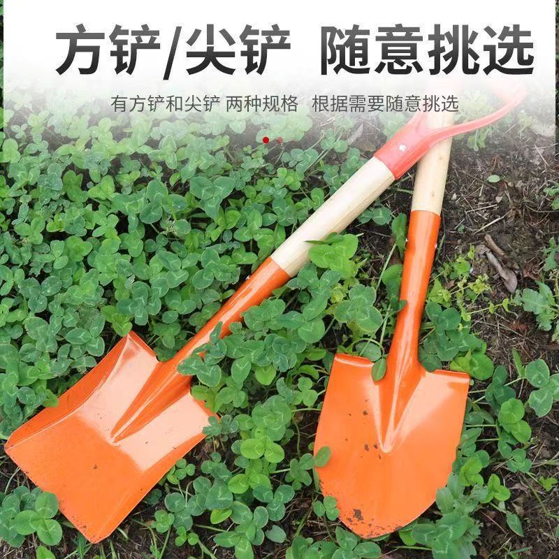微信图片_202504211625392.jpg