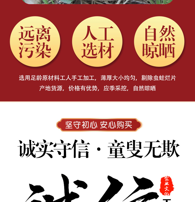 Xi Xin Root (Asarum heterotropoides) — Washed Liaoning Wild Ginger Root, Dried Herb 500g quality and texture