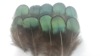 Factory feather wholesale natural color feathers DIY Dream Catcher color feathers accessories jewelry