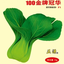 和利农正源100金牌冠华青梗菜种子四季高产上海青小蔬菜种籽易种