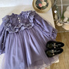 Purple spring dress, children's small princess costume, Korean style, children's clothing, mesh skirt, western style