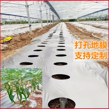 ���׵�Ĥ�rĤ��ݮ�����п�����������ɫ�r�÷Nֲ���ș���y��